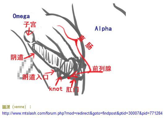 豪门艳事/军官养父的霸道之吻[ABO]